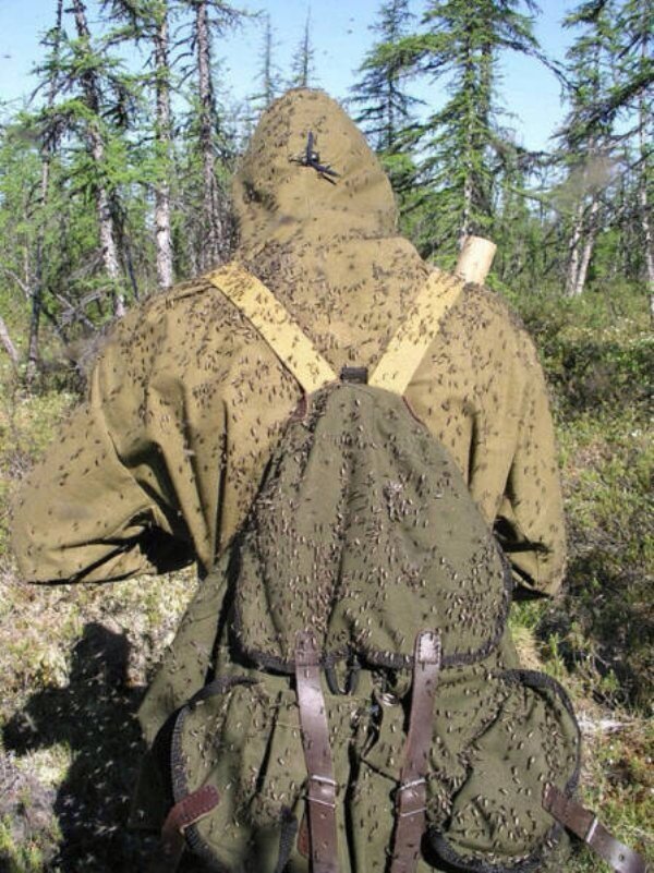 мужчина с рюкзаком на спине в лесу