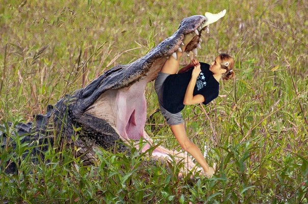 крокодил и девушка