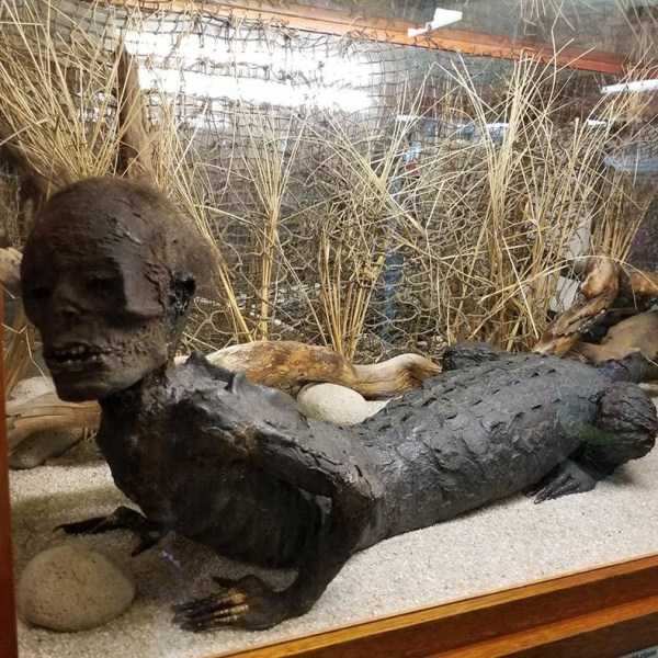 мумия человека-ящерицы