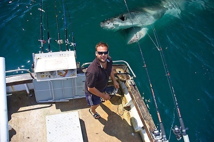 парень на яхте и акула в воде