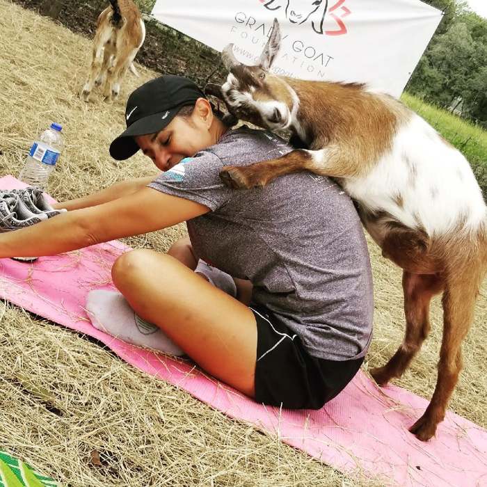коза обнимает девушку