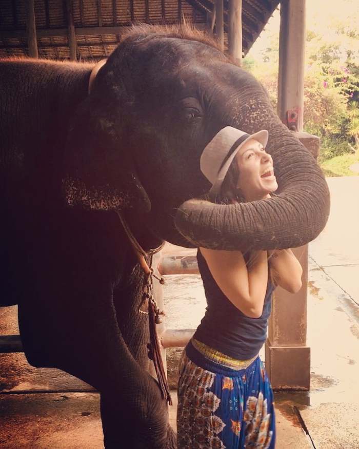 слон и девушка