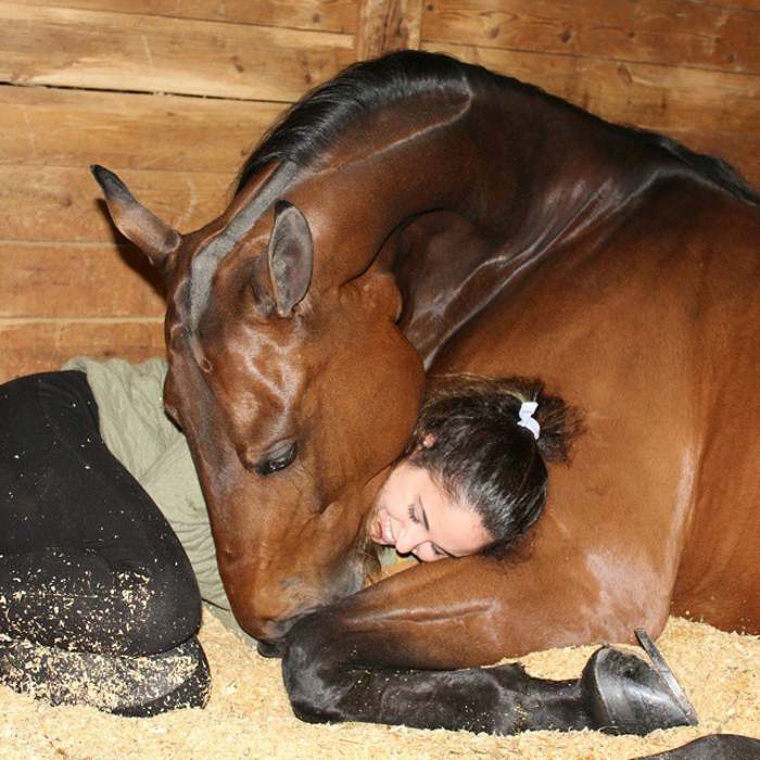 лошадь и девушка