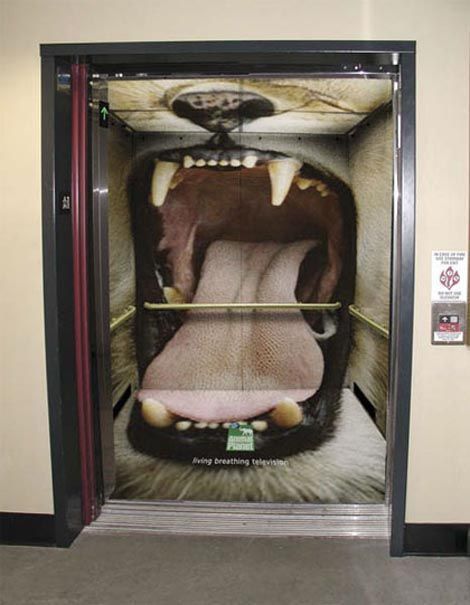 лифт с фото пасти льва