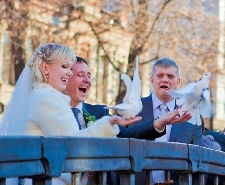 жених и невеста запускают голубей