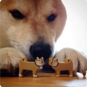 собака играет с игрушечными собаками