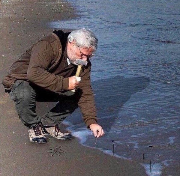 мужчина забивает гвозди по линии воды на пляже