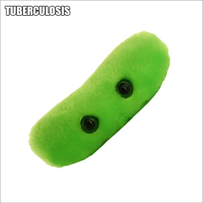 зеленая плюшевая игрушка
