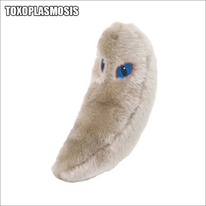 игрушка в виде вируса токсоплазмоза