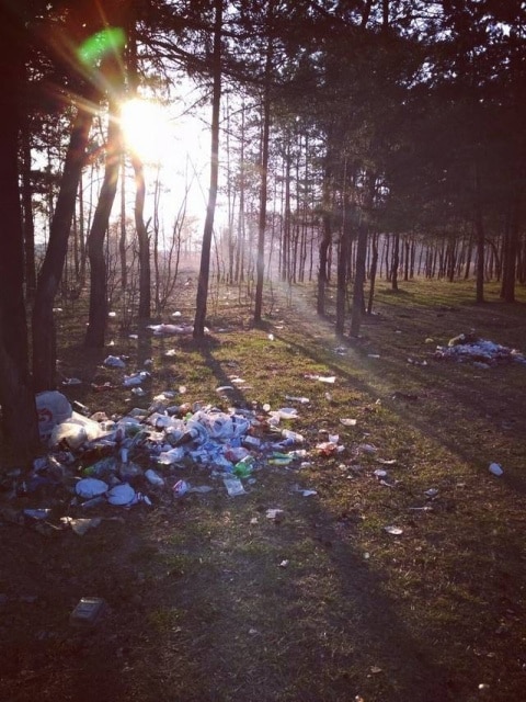 мусор в лесу