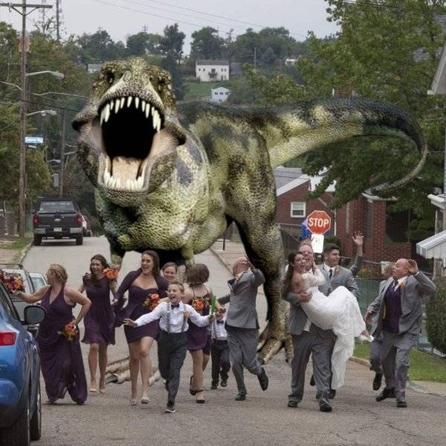 динозавр атакует свадьбу