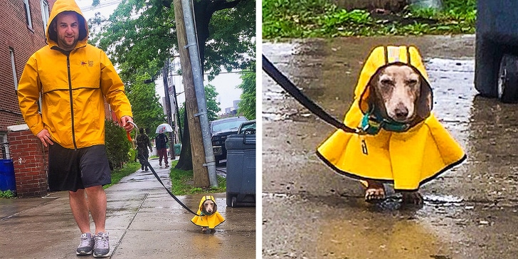 мужчина и собака в дождевиках