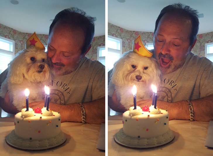 мужчина с собакой и торт