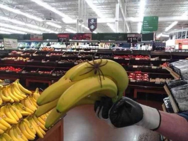 паук на бананах