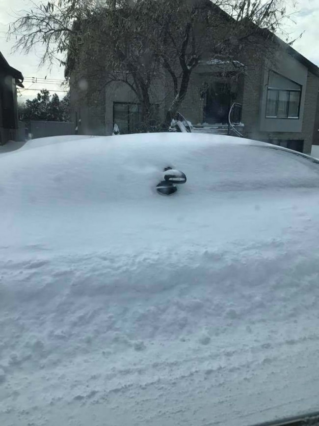 машину занесло снегом