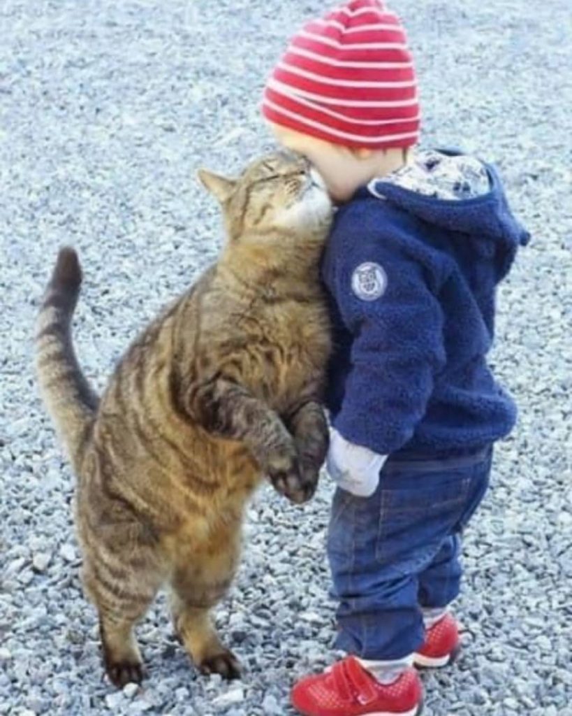 кот и ребенок
