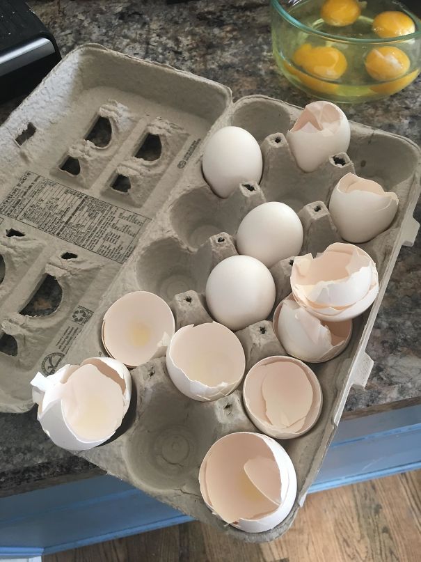 яйца в лотке