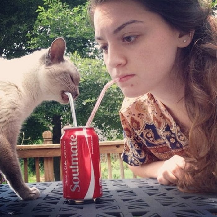 девушка и кошка пьют напиток 