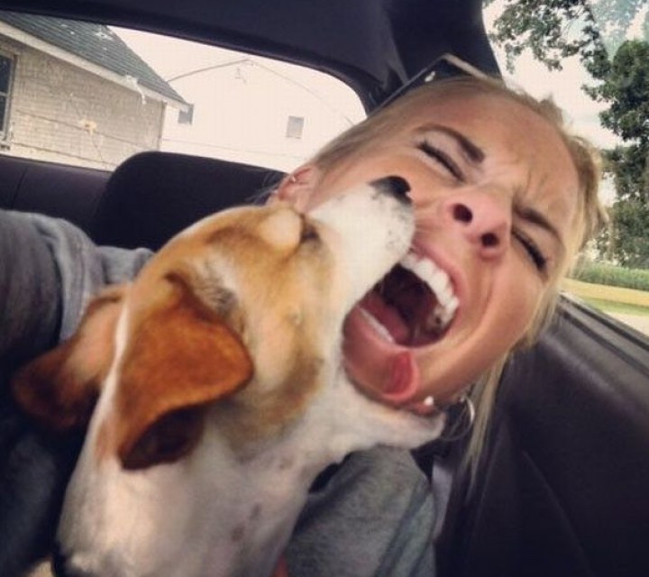 собака кусает девушку за лицо