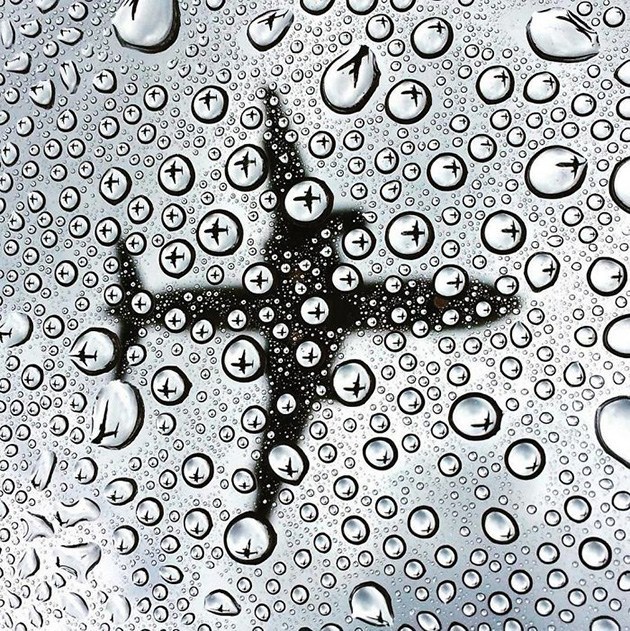 отражение самолета в каплях воды