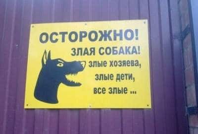 Свежая подборка смешных табличек, предостерегающих от злых собак