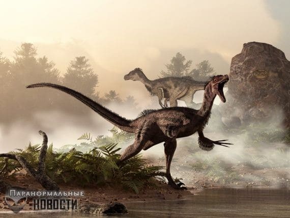 Встречи с живыми динозаврами в «зоне четырех углов»‎ США Тайны и мифы