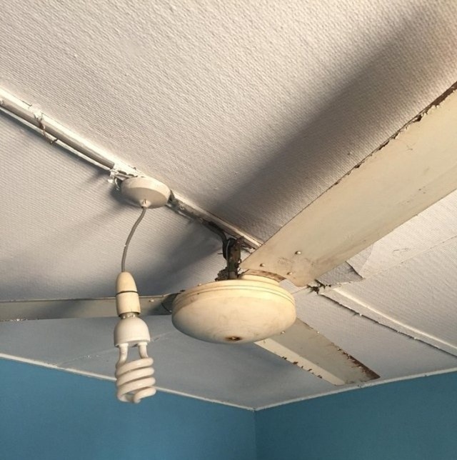 вентилятор и лампочка на потолке