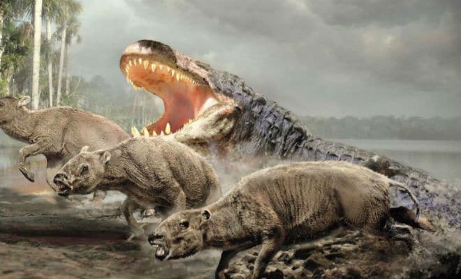 Самый огромный крокодил в истории планеты весил несколько тонн и мог охотиться на слонов