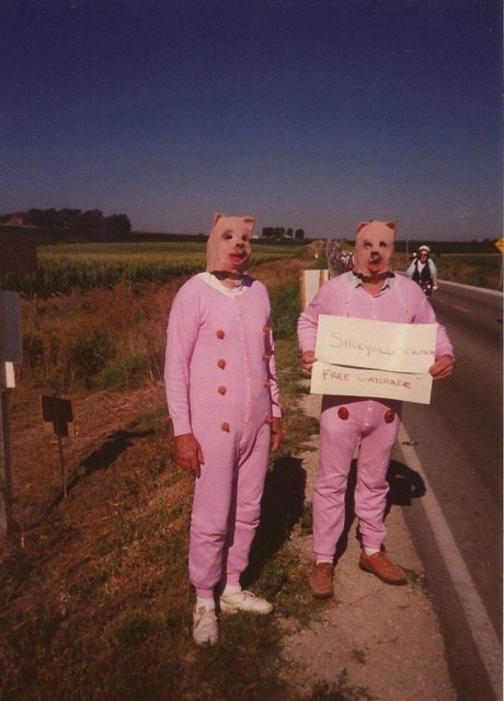 люди в костюмах свиньи