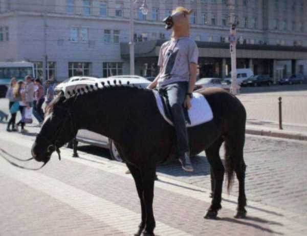 полицейский на коне