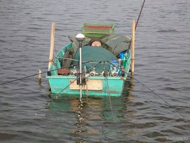 Приколы про день рыбака - смешные картинки
