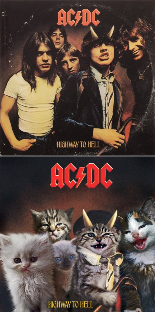 Культовые обложки музыкальных альбомов, воссозданные с котятами (20 фото)