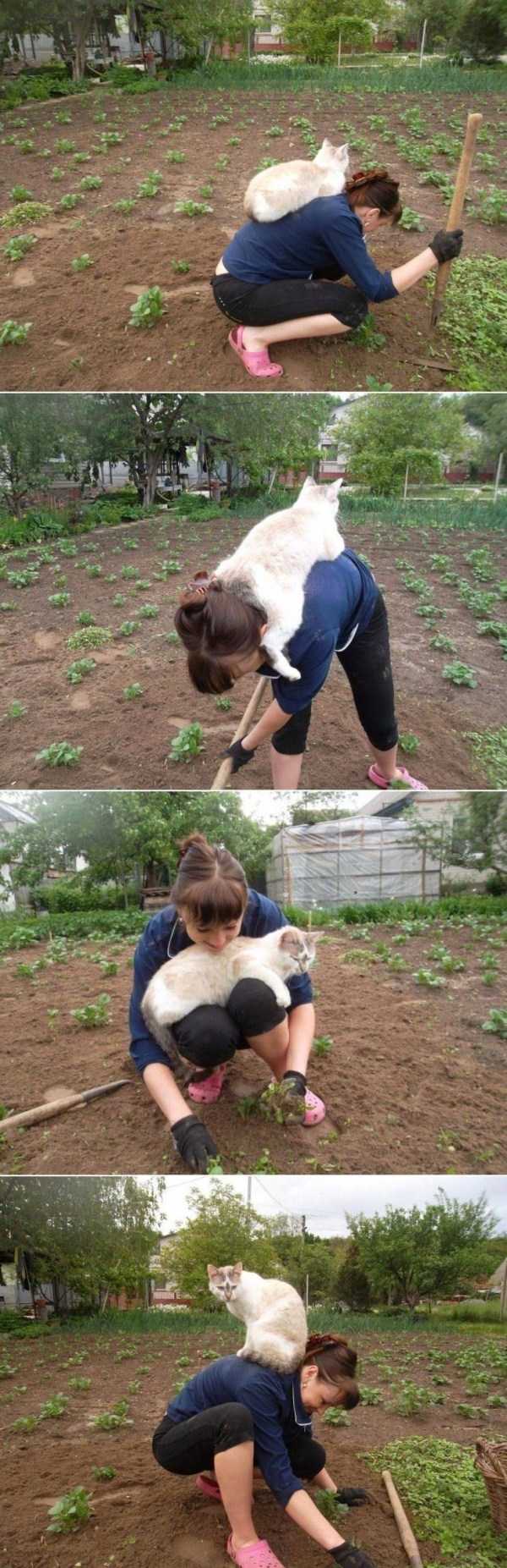 девушка с котом в огороде