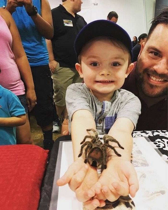 мальчик с пауком на руке