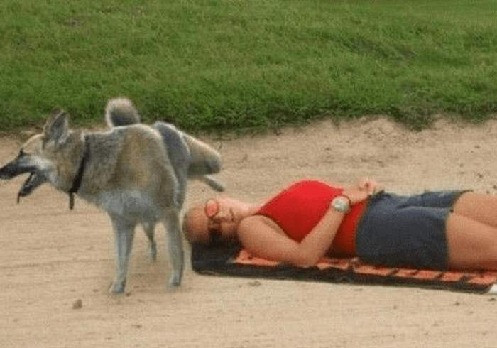 собака мочится на лежащую женщину