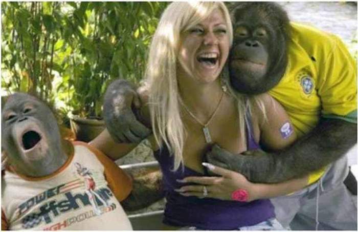 блондинка с орангутанами
