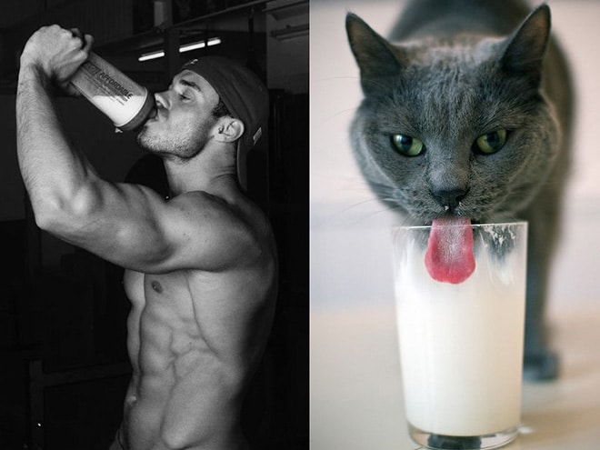 парень и кот пьют молоко