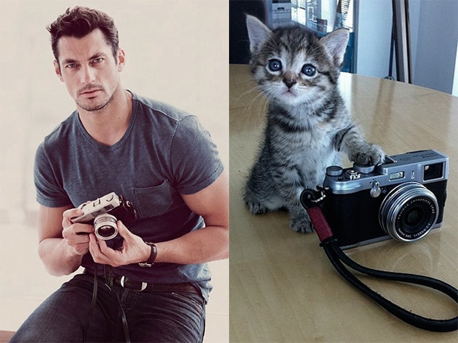 парень с фотоаппаратом и котенок