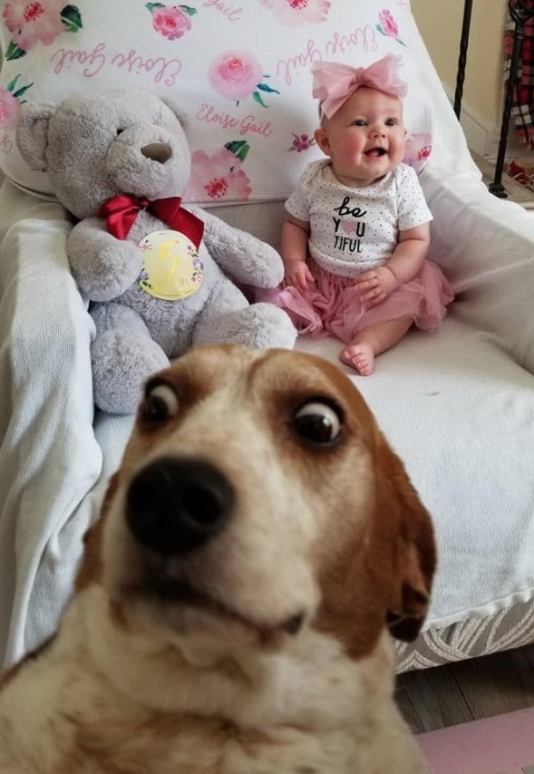 маленькая девочка и собака