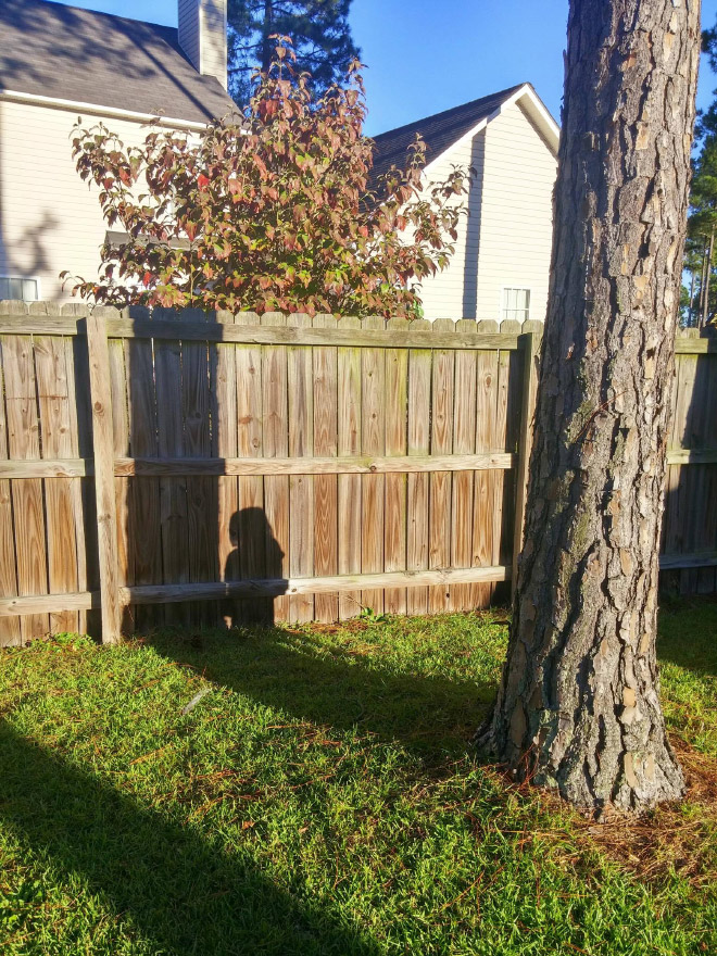 детская тень на заборе