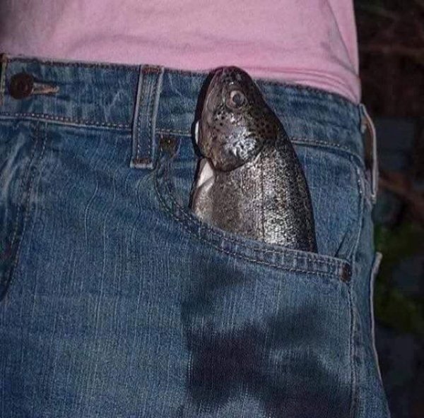 рыба в кармане джинсов
