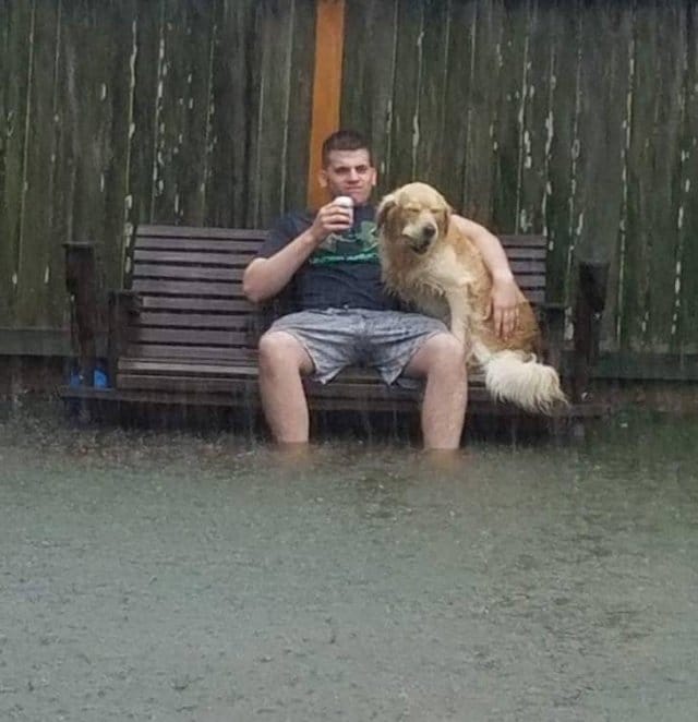 парень с собакой под дождем