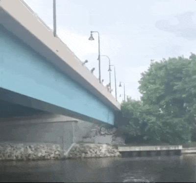 парень прыгает с моста в реку