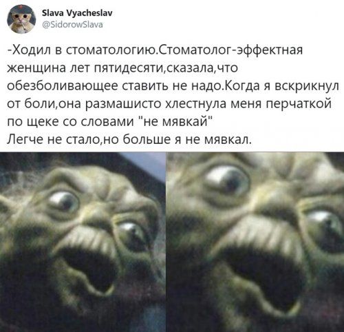 Новые прикольные картинки 