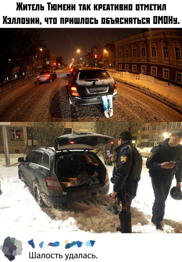 kartinok-prikolnyh-podborka-kartinki-smeshnye-kartinki-fotoprikoly