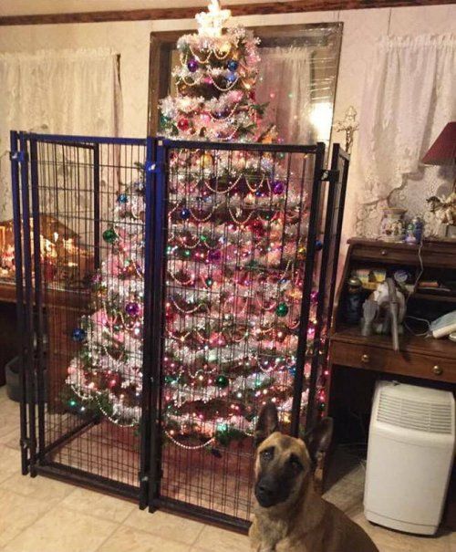 Спасение новогодней елки от домашних животных 