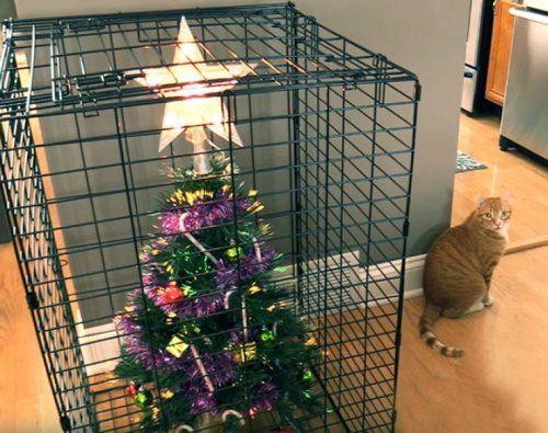 Спасение новогодней елки от домашних животных 