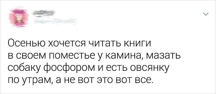 tvitov-zhiznennyh-zabavnyh-citaty-vkontakte-vkontakte-smeshnye-statusy