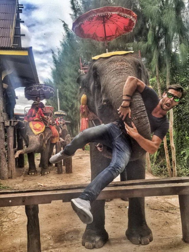 слон держит парня в хоботе