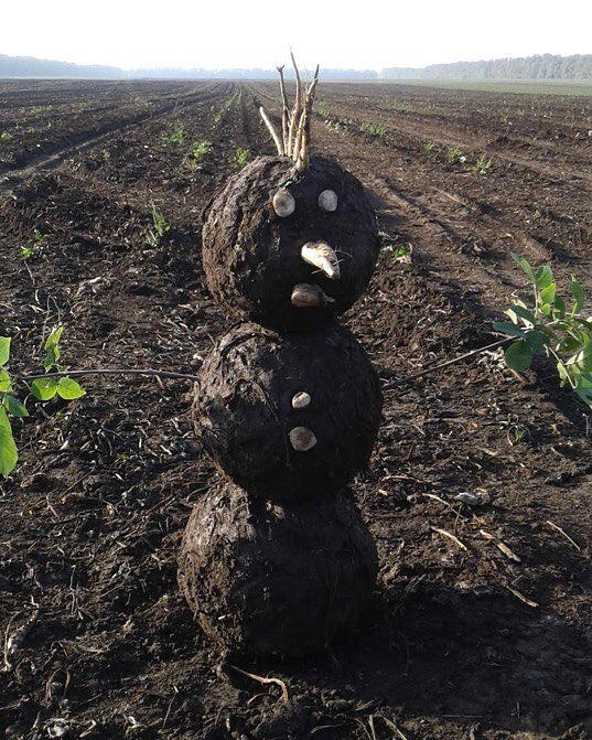снеговик из земли в поле